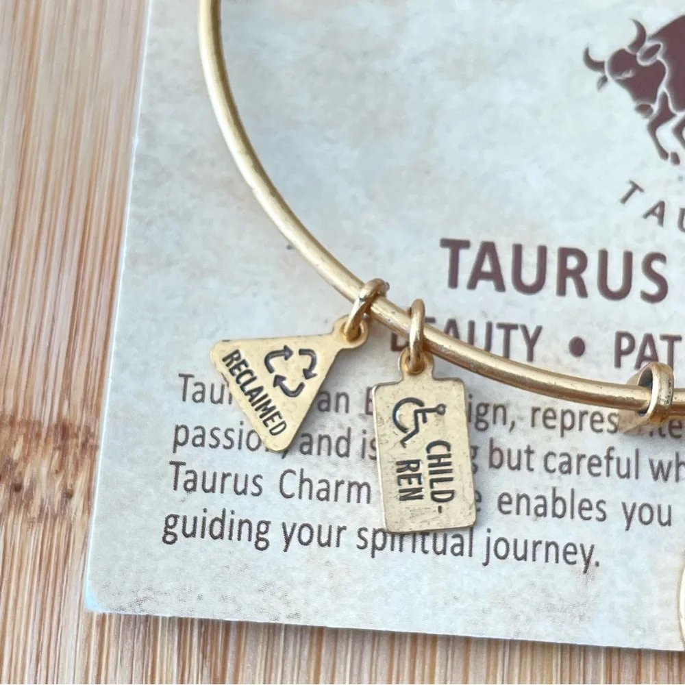 Taurus Wind and fire, the art of Eco sustainable jewelry, reclaimed bracelet - Picture 2 of 9